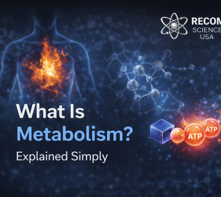 f4678c32-e2d5-498e-b775-c95fd7e0907f-1